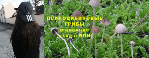 spice Абдулино