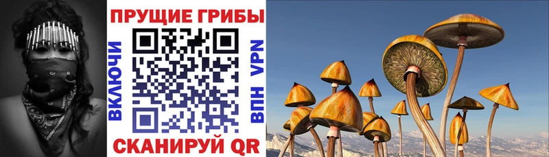 Галлюциногенные грибы прущие грибы  Кадников 